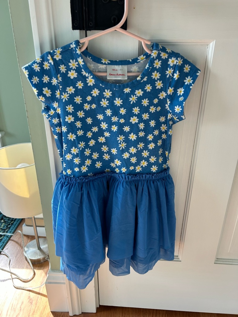 Hanna Andersson Blue Daisy Print Tulle Skirt Dress